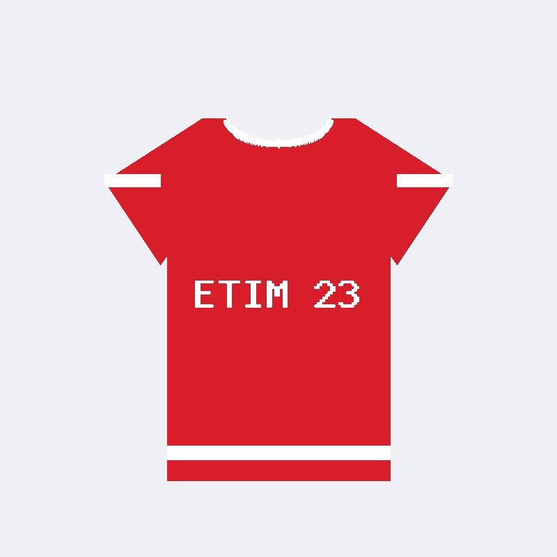 Basketball Vest